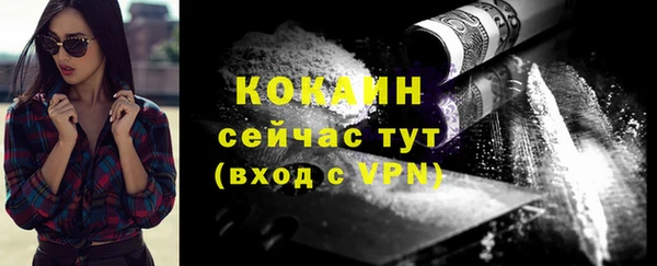 хмурый Карпинск