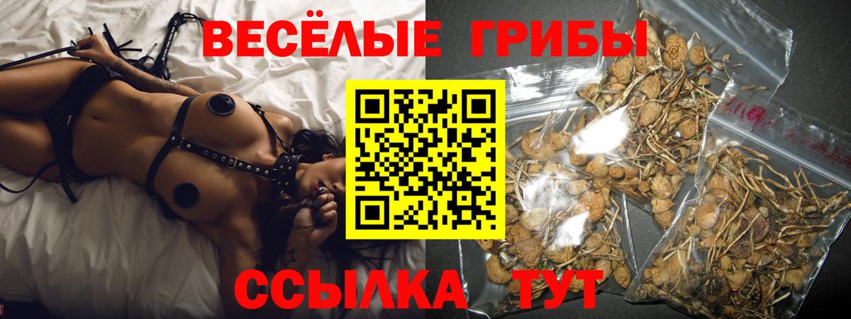 Анжеро-Судженск  Галлюциногенные грибы ЛСД  Вход с VPN 